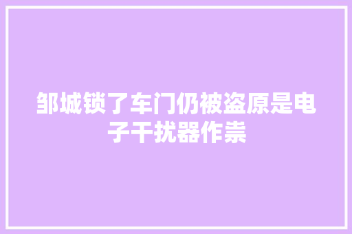 邹城锁了车门仍被盗原是电子干扰器作祟