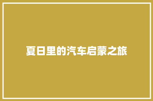 夏日里的汽车启蒙之旅