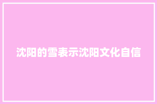 沈阳的雪表示沈阳文化自信