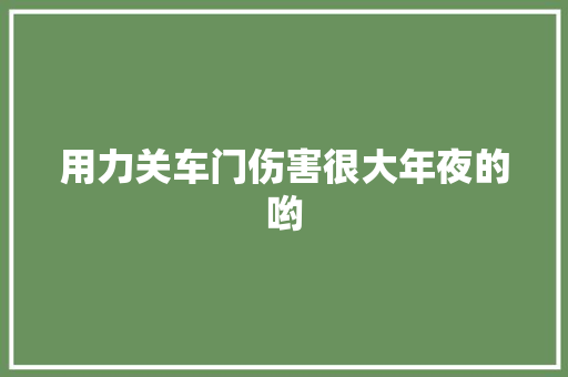 用力关车门伤害很大年夜的哟