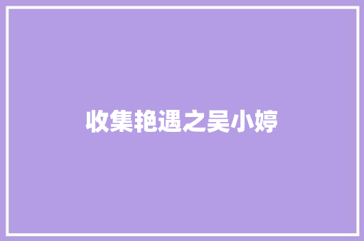 收集艳遇之吴小婷
