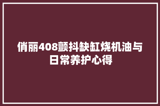 俏丽408颤抖缺缸烧机油与日常养护心得