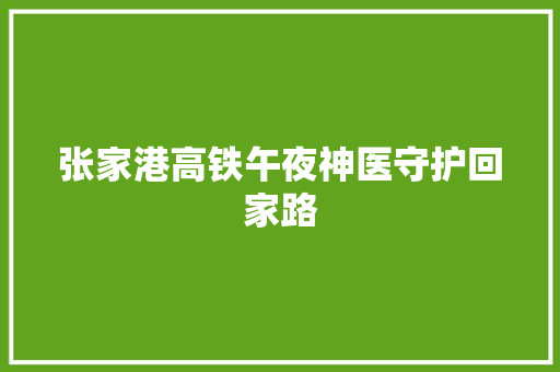 张家港高铁午夜神医守护回家路