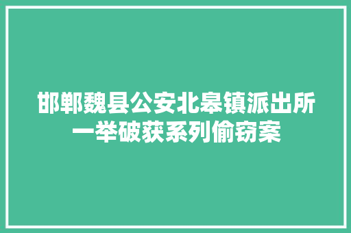 邯郸魏县公安北皋镇派出所一举破获系列偷窃案