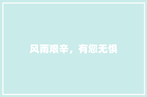 风雨艰辛，有您无惧
