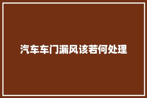 汽车车门漏风该若何处理