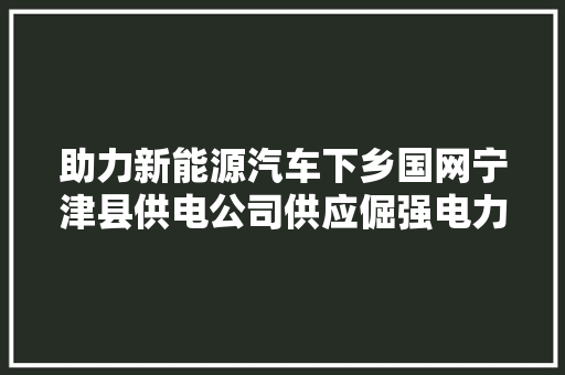 助力新能源汽车下乡国网宁津县供电公司供应倔强电力支撑