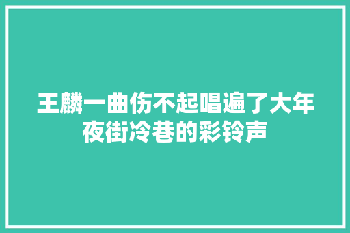 王麟一曲伤不起唱遍了大年夜街冷巷的彩铃声