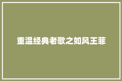 重温经典老歌之如风王菲
