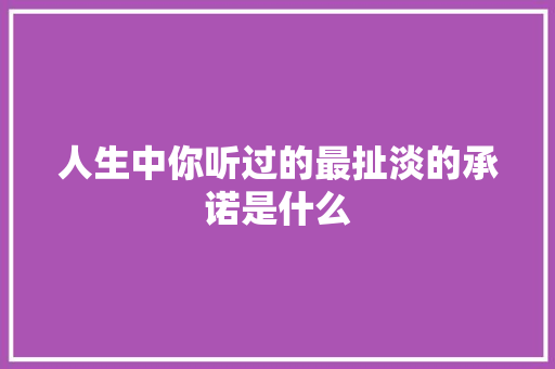 人生中你听过的最扯淡的承诺是什么