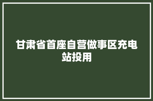 甘肃省首座自营做事区充电站投用