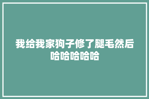 我给我家狗子修了腿毛然后哈哈哈哈哈