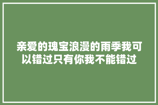 亲爱的瑰宝浪漫的雨季我可以错过只有你我不能错过