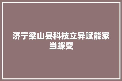 济宁梁山县科技立异赋能家当蝶变