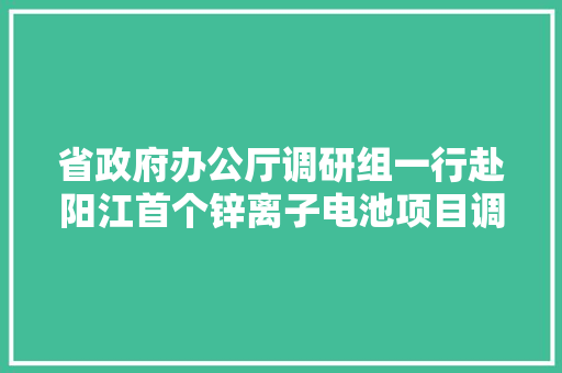 省政府办公厅调研组一行赴阳江首个锌离子电池项目调研