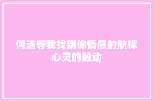 何洁等我找到你情感的航标心灵的触动