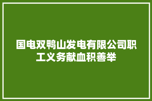 国电双鸭山发电有限公司职工义务献血积善举