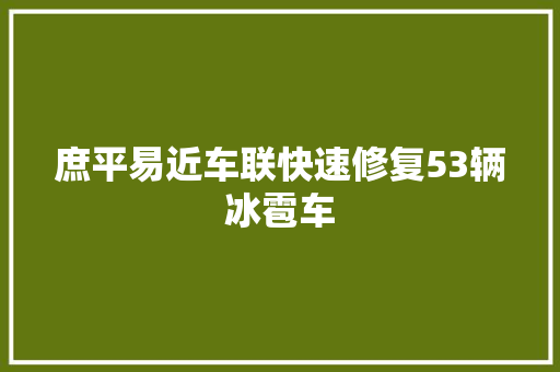庶平易近车联快速修复53辆冰雹车
