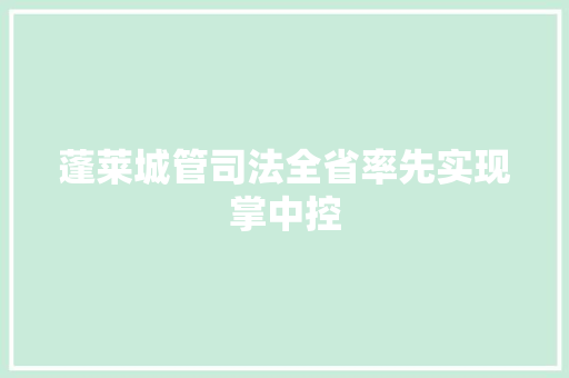 蓬莱城管司法全省率先实现掌中控