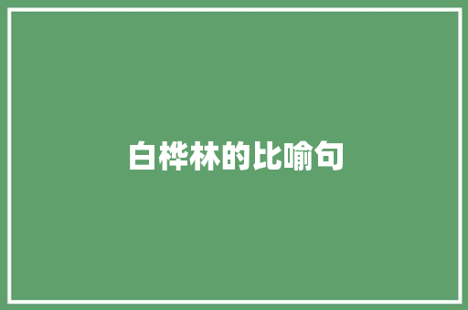 白桦林的比喻句