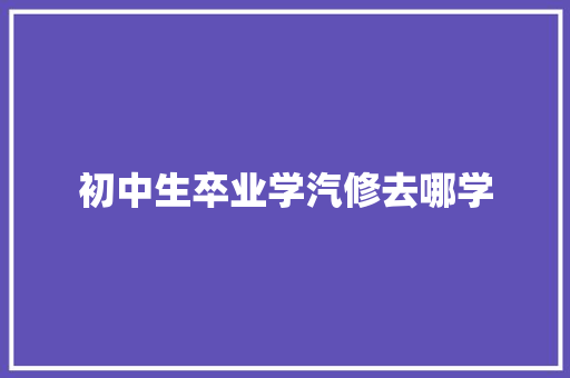 初中生卒业学汽修去哪学