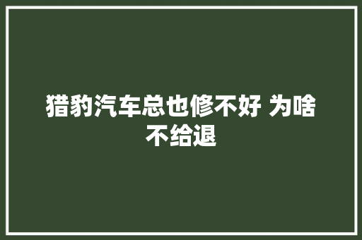 猎豹汽车总也修不好 为啥不给退
