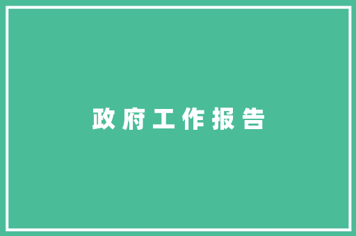 政 府 工 作 报 告