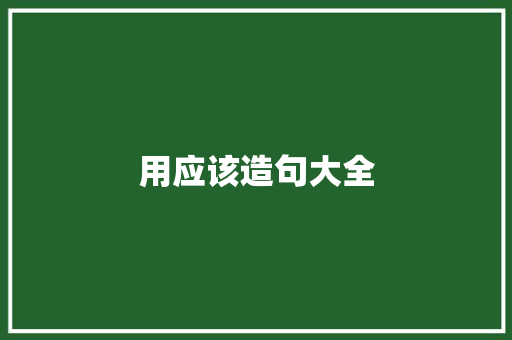 用应该造句大全