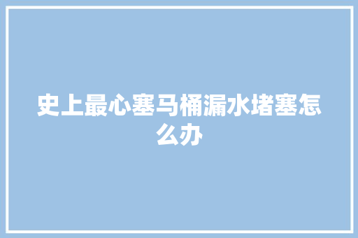 史上最心塞马桶漏水堵塞怎么办