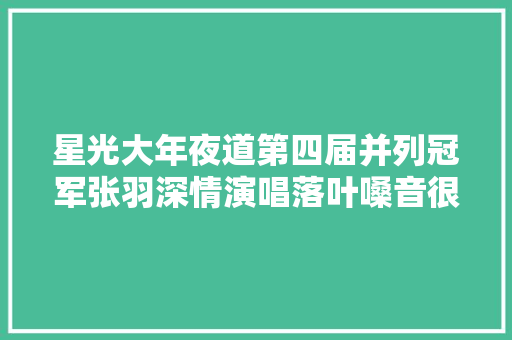 星光大年夜道第四届并列冠军张羽深情演唱落叶嗓音很像张雨生