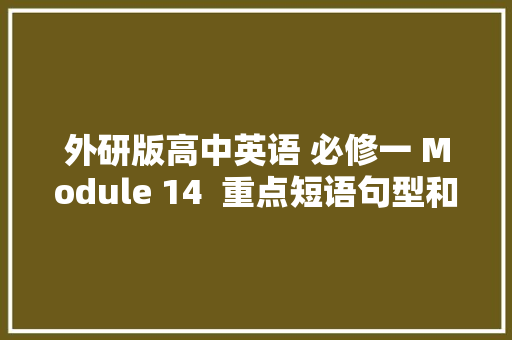 外研版高中英语 必修一 Module 14  重点短语句型和语法