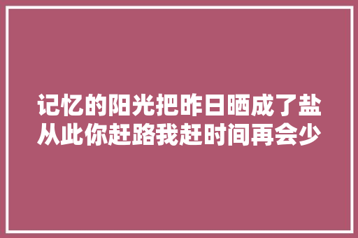 记忆的阳光把昨日晒成了盐从此你赶路我赶时间再会少年