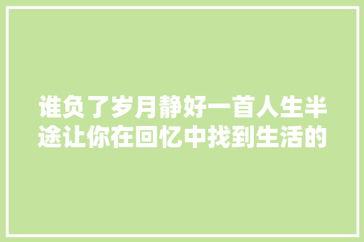 谁负了岁月静好一首人生半途让你在回忆中找到生活的谜底