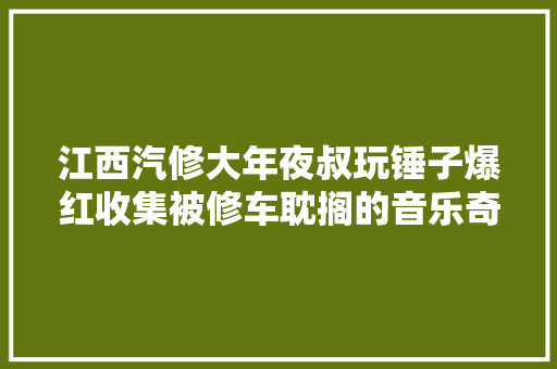 江西汽修大年夜叔玩锤子爆红收集被修车耽搁的音乐奇才