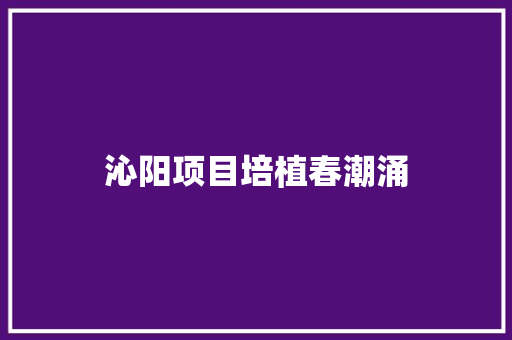 沁阳项目培植春潮涌
