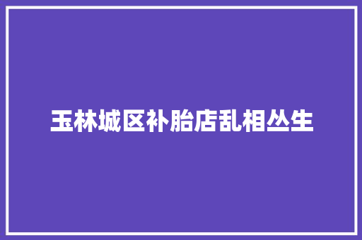 玉林城区补胎店乱相丛生
