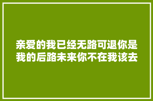 亲爱的我已经无路可退你是我的后路未来你不在我该去哪