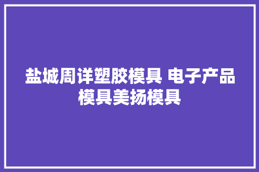 盐城周详塑胶模具 电子产品模具美扬模具