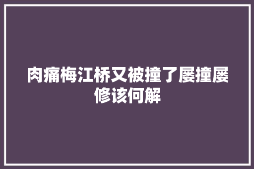 肉痛梅江桥又被撞了屡撞屡修该何解