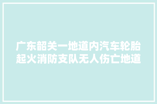 广东韶关一地道内汽车轮胎起火消防支队无人伤亡地道正常通行