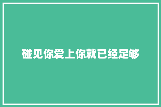 碰见你爱上你就已经足够