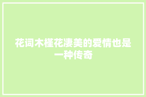 花词木槿花凄美的爱情也是一种传奇