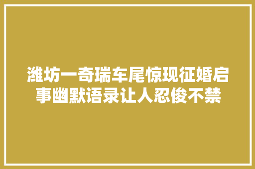 潍坊一奇瑞车尾惊现征婚启事幽默语录让人忍俊不禁