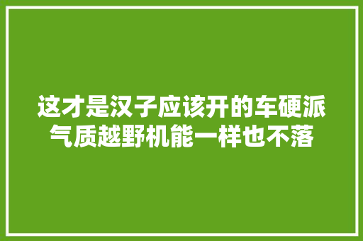 这才是汉子应该开的车硬派气质越野机能一样也不落