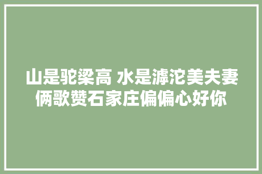 山是驼梁高 水是滹沱美夫妻俩歌赞石家庄偏偏心好你
