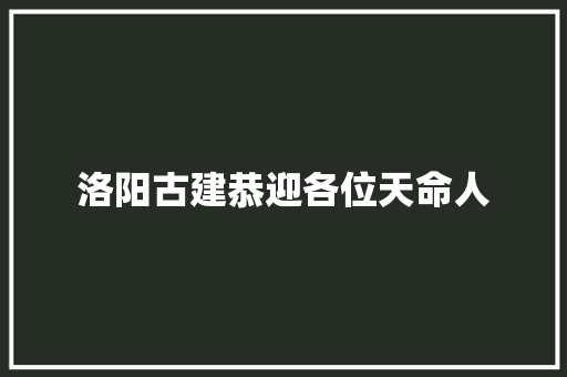 洛阳古建恭迎各位天命人