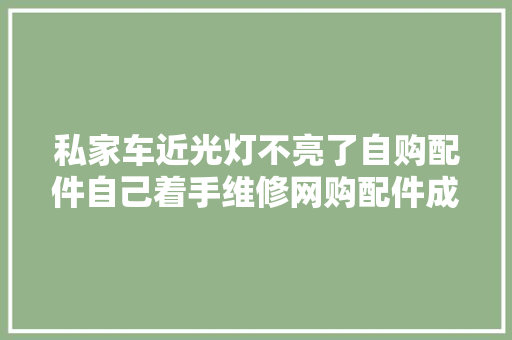 私家车近光灯不亮了自购配件自己着手维修网购配件成本17元