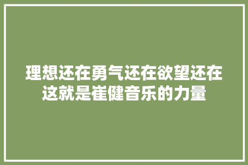 理想还在勇气还在欲望还在这就是崔健音乐的力量