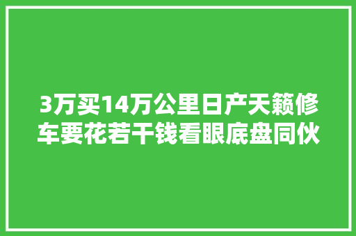 3万买14万公里日产天籁修车要花若干钱看眼底盘同伙直接停住