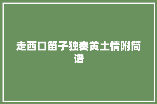 走西口笛子独奏黄土情附简谱
